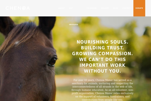 chenoa-manor theme websites examples