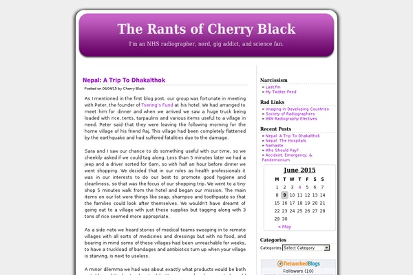 Blueberry theme site design template sample