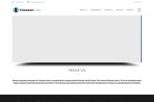 WordPress website example screenshot