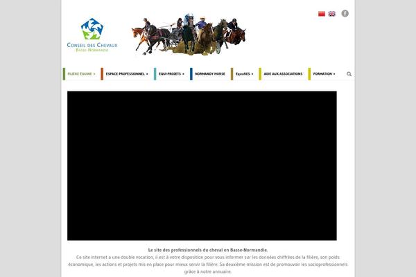 chevaux-normandie.com site used Conseil-des-chevaux