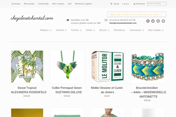 Mystile theme site design template sample