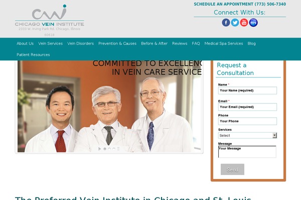 cvi theme websites examples