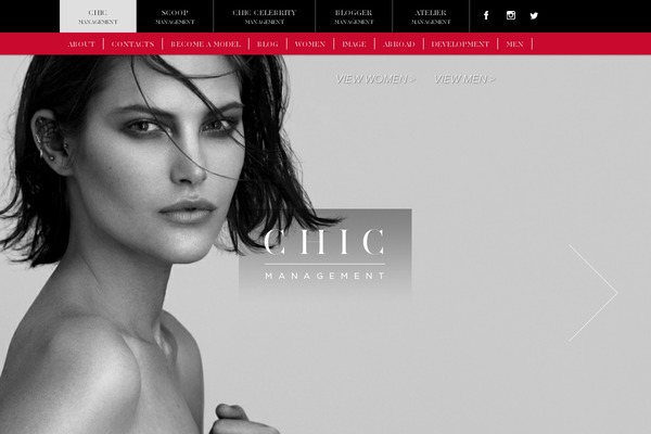 chicmanagement theme websites examples