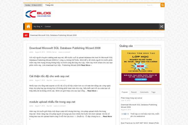 Sahifa theme site design template sample