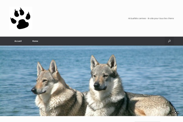 Vantage theme site design template sample