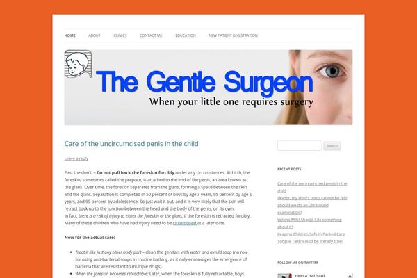 Twenty Seventeen theme site design template sample