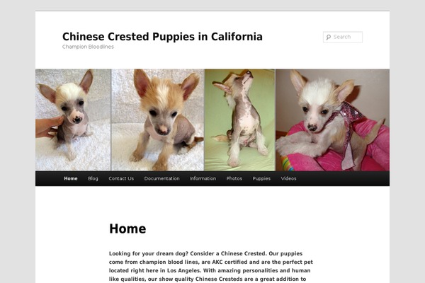 Twenty Eleven theme site design template sample