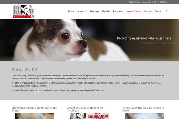 chirescue.org site used Chihuahua