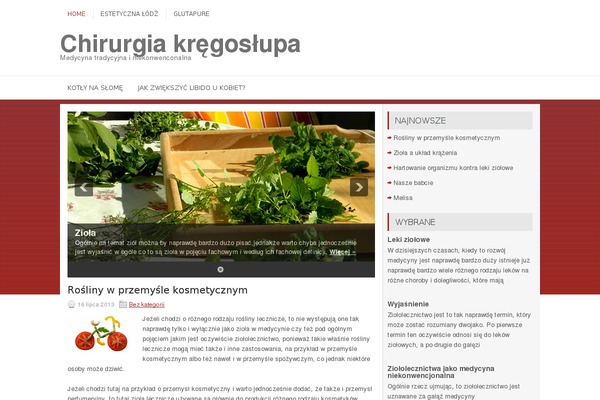 chirurgiakregoslupa.pl site used Lumix