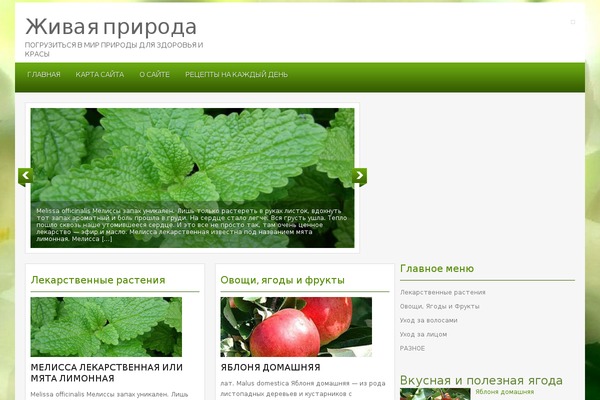 chmyh.ru site used Pritam