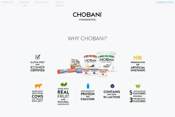 chobanifoodservice.com site used Chobanifs