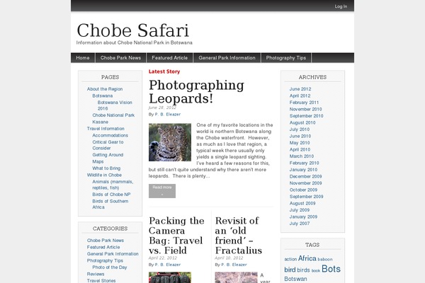 WordPress website example screenshot