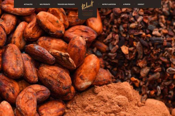 Kallyas theme site design template sample