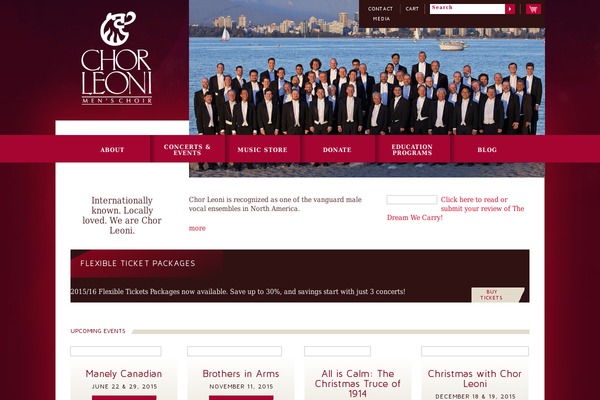 WordPress website example screenshot