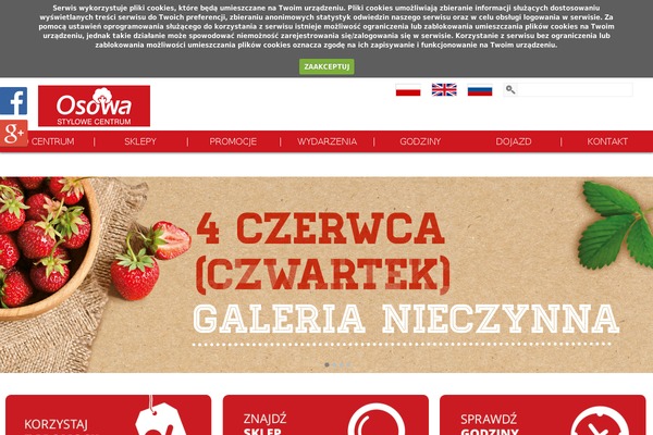 chosowa.pl site used Donotwork