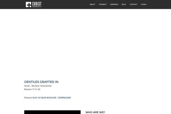 WordPress website example screenshot