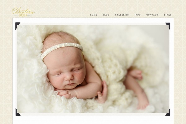 Prophoto4 theme site design template sample