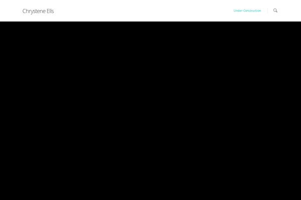 Salient theme site design template sample