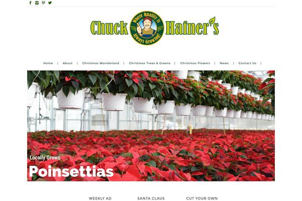 chuckhafner.com site used Avada