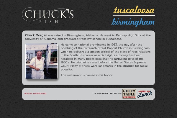 chucksfish.com site used Chuckstheme