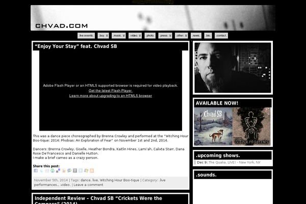 WordPress website example screenshot