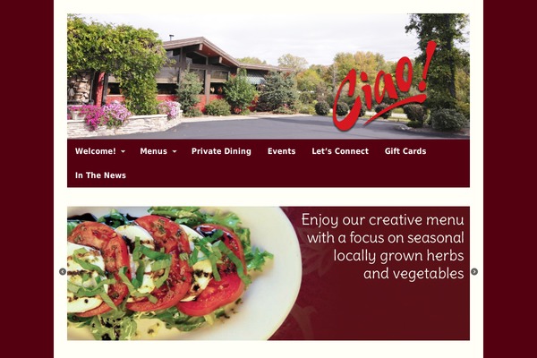 Canvas theme site design template sample