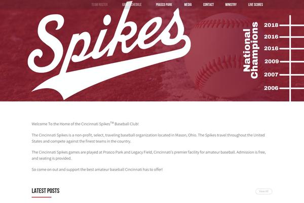 Allstar theme site design template sample