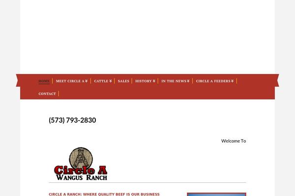 WordPress website example screenshot