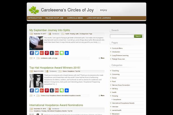 WordPress website example screenshot