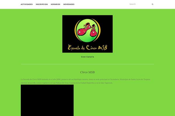 WordPress website example screenshot