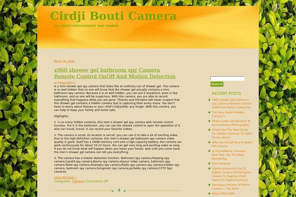 cirdjibouti.org site used Organik