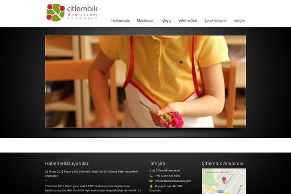 citlembikanaokulu.com site used Old.striking
