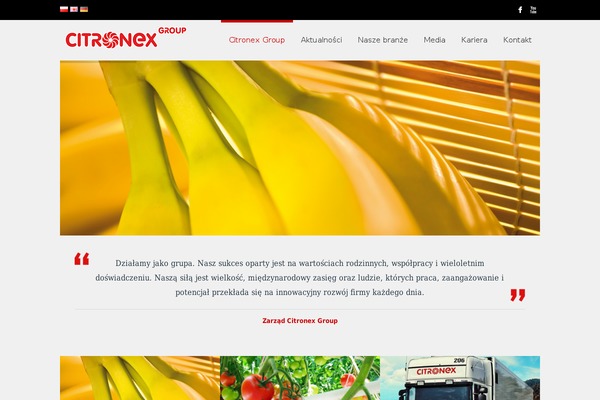 citronex.pl site used Citronex