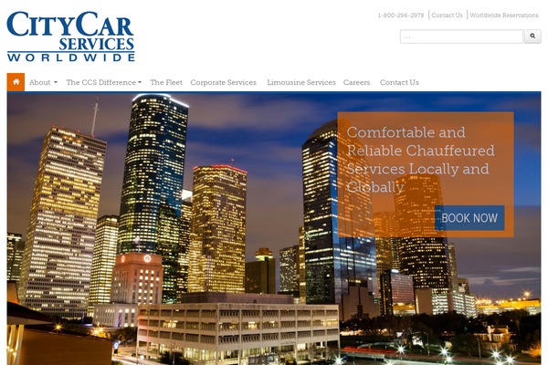 citycarservices.com site used Blohmcp_s