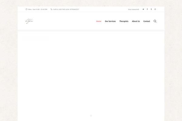 Nirvana-axiom theme site design template sample