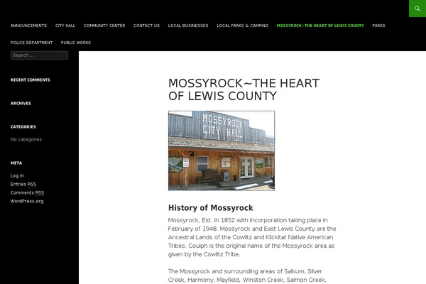 WordPress website example screenshot