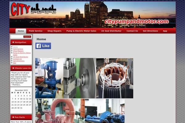 citypumpandmotor.com site used Citypumpandmotor04