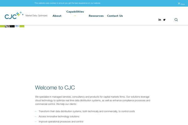 Pro theme site design template sample
