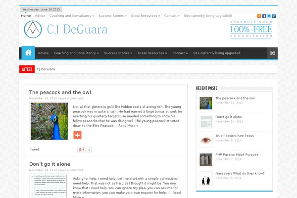 WordPress website example screenshot