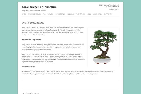 Twenty Twelve theme site design template sample