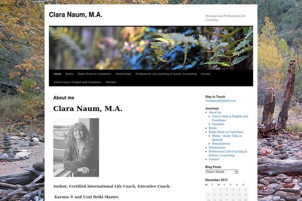 Twenty Ten theme site design template sample