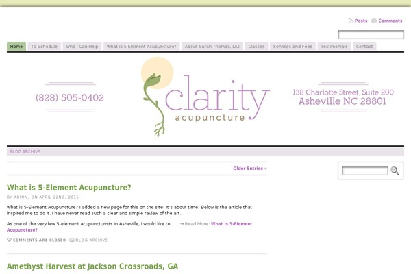 WordPress website example screenshot