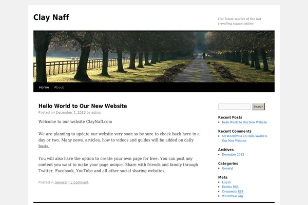 WordPress website example screenshot