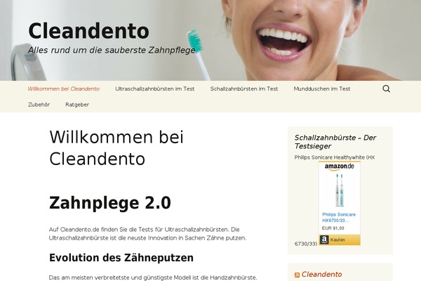 Twenty Thirteen theme site design template sample