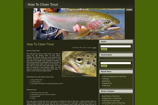 cleantrout.com site used Salmon_fishing_theme_3
