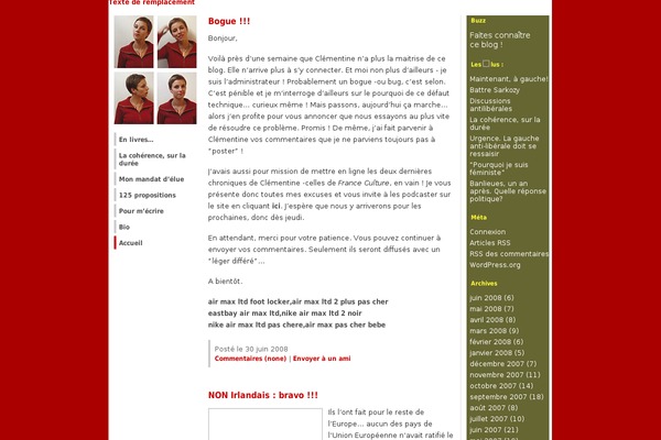 WordPress website example screenshot