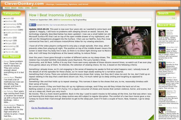 WordPress website example screenshot