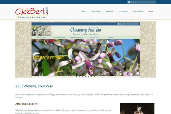 WordPress website example screenshot