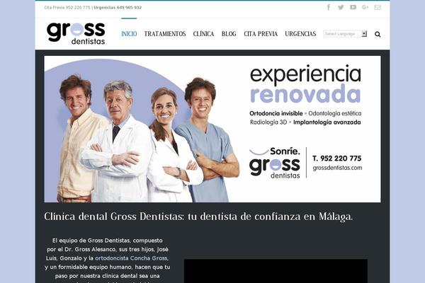 Site using Google Language Translator plugin