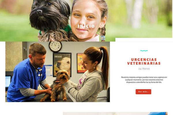 clinicadeurgenciasveterinarias.com site used 321disenoweb